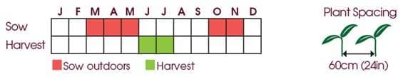 Pea (Maincrop) Douce Provence Seeds Unwins Sowing Time and Spacing